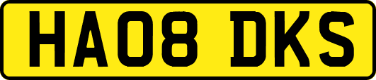 HA08DKS