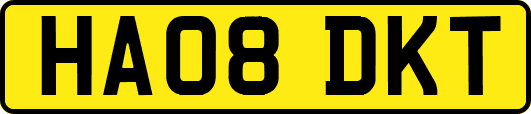 HA08DKT