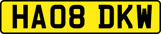 HA08DKW