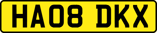 HA08DKX