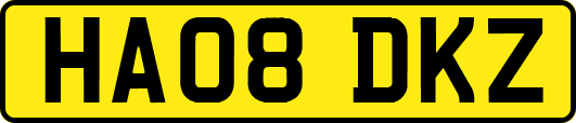 HA08DKZ