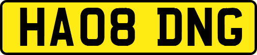 HA08DNG