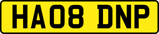 HA08DNP