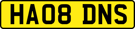 HA08DNS
