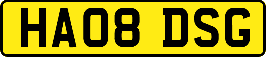 HA08DSG