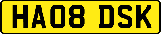 HA08DSK