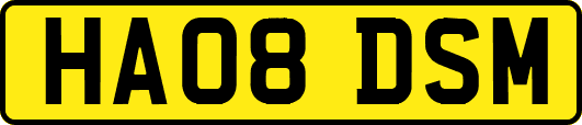 HA08DSM
