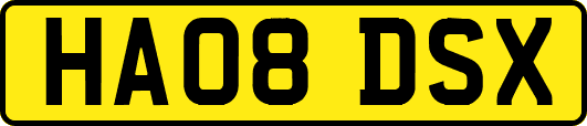 HA08DSX