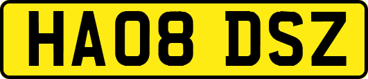 HA08DSZ