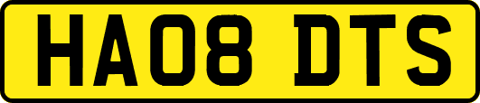 HA08DTS