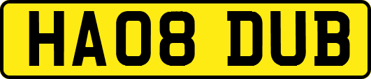 HA08DUB