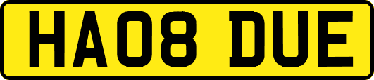 HA08DUE