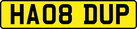 HA08DUP