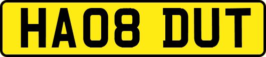 HA08DUT
