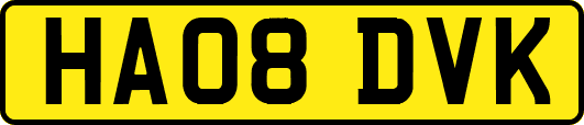 HA08DVK