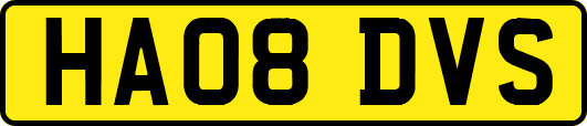 HA08DVS