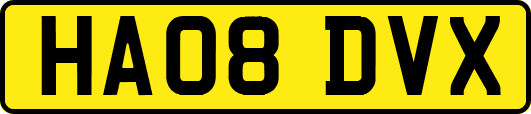 HA08DVX