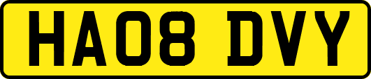 HA08DVY