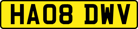 HA08DWV