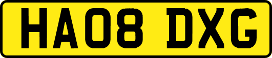 HA08DXG