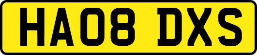 HA08DXS