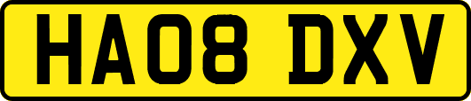 HA08DXV