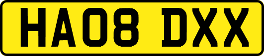 HA08DXX