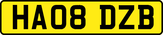 HA08DZB
