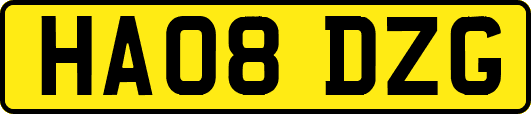 HA08DZG