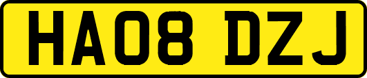 HA08DZJ