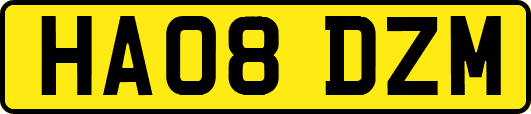 HA08DZM