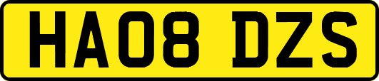 HA08DZS