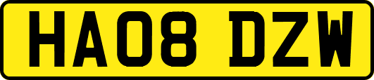 HA08DZW