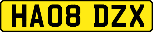 HA08DZX