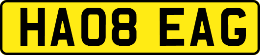 HA08EAG