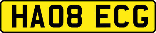 HA08ECG