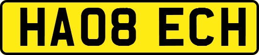 HA08ECH