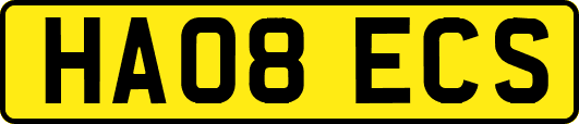 HA08ECS