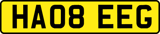 HA08EEG