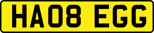 HA08EGG