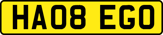 HA08EGO