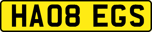 HA08EGS