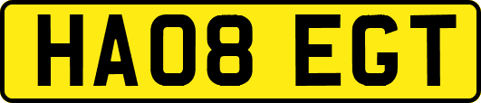 HA08EGT