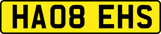 HA08EHS