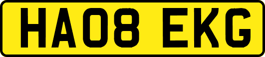 HA08EKG