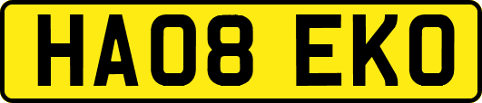 HA08EKO
