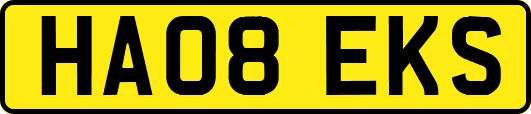HA08EKS