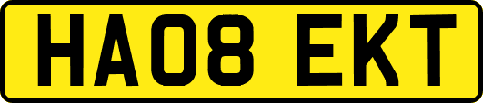 HA08EKT