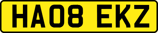 HA08EKZ