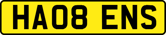 HA08ENS